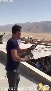 مرغ فروشی سعید نجفی