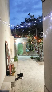 خونه نقطه