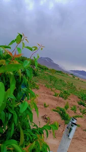 قنبر آباد