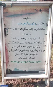 سرو کهنسال گوهردشت 2