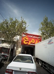 پخش مرغ و گوشت زر مرغ 2