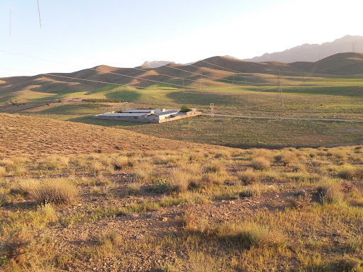 مرغداری نیکخواه