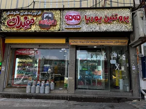 پروتئین پوریا