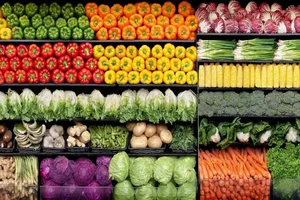 مجموعه فروشگاههای مواد غذایی سبوس