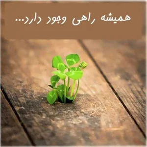 اداره کل دامپزشکی استان ایلام