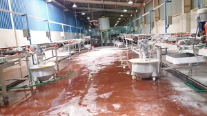 Tile Manufacturing Facilities Of Pasargad Ceram