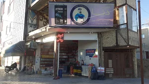 اتو سرویس دنا