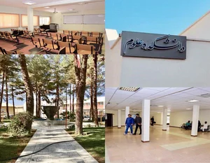 تکنو تیم ( )
