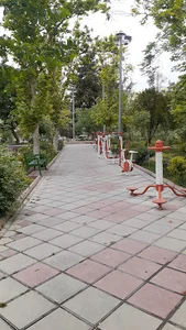 میدان ۶۶