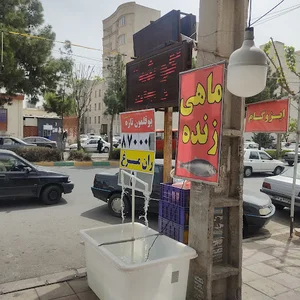 قصابی