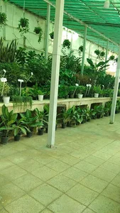 دهکده گل و گیاه گل اینجا 4