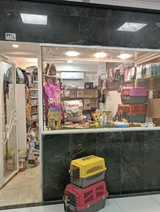 پت شاپ پت کده