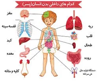 باشگاه ورزشی