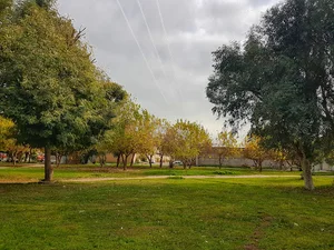 توتستان