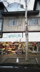 گل فروشی آوان 3