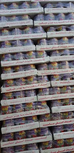 پخش محصولات غذایی و بهداشتی گروهِ بازرگانی ماهان