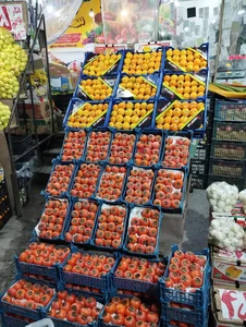 میوه فروشی سکه 5