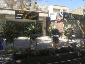 سیتی گل