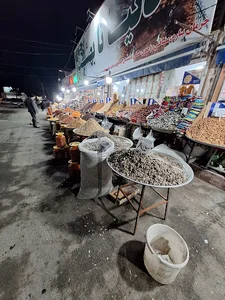 زیتون سرای دنیا تا بهشت