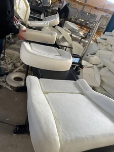 نیل پایا ماندگار