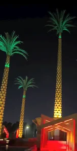 میدان پنج نخل اهواز