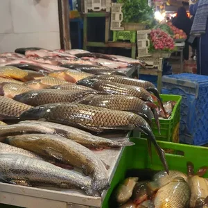 بازار روز میوه و تره بار