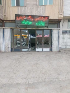 تشخیص رنگ و فنی خودرو نسار