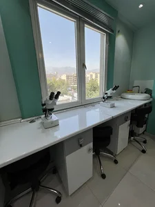 شیائومی ایران