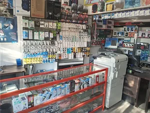 راینا کامپیوتر