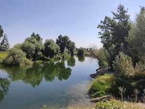 پارک ساحلی چمگردان