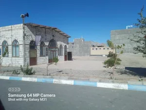 مسجد امام علی (ع) 2