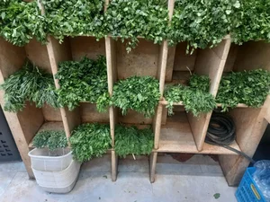 سبزیجات علی آبادی 3