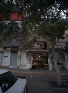 میوه سرای نارنج 2