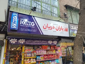 یاران دریان
