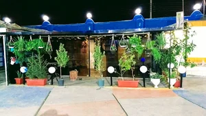 کافه ناژوان