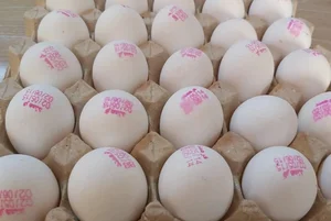 سوپر گوشت و مرغ پازن 3