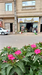 سنگگ پزی