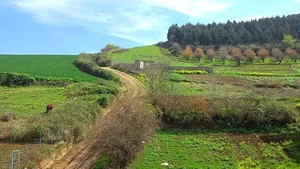 Tourist Villa ویلای توریست سنائی