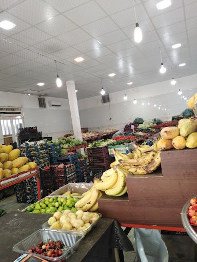 میوه سرای لوکس ماهونیا