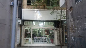 کفش ملی 101 جوادیه