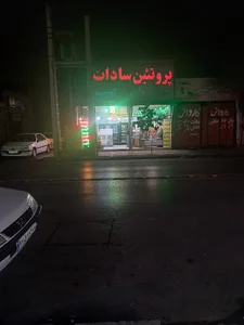 پروتیئن سادات