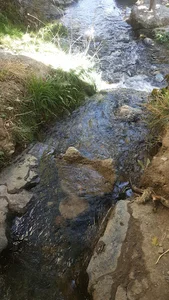 چشمه قودجان