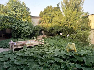 فضای سبز