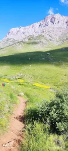 چشمه دزه ری