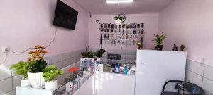 موبایل دایان 2