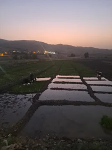 دره شهر