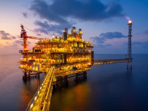 Oil branch
