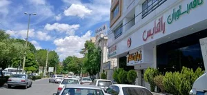 بیمه دانا مرکزی 2