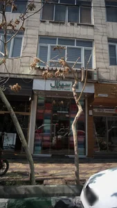 فرش سیزال