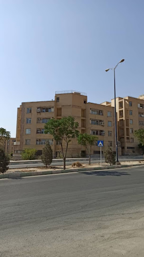 ابنیه فنی M84